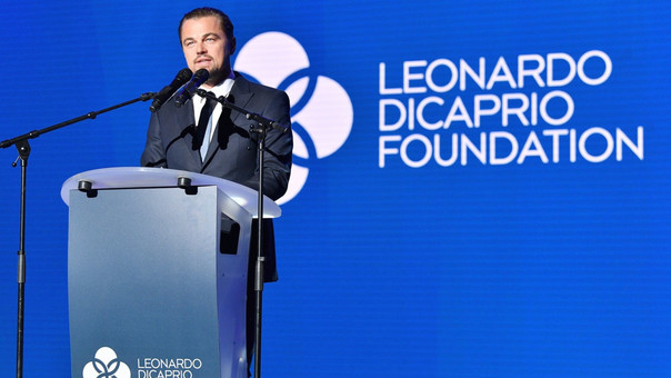 Leonardo DiCaprio Foundation