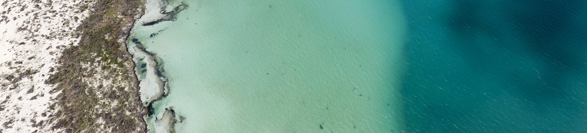 Abordar el cambio climático