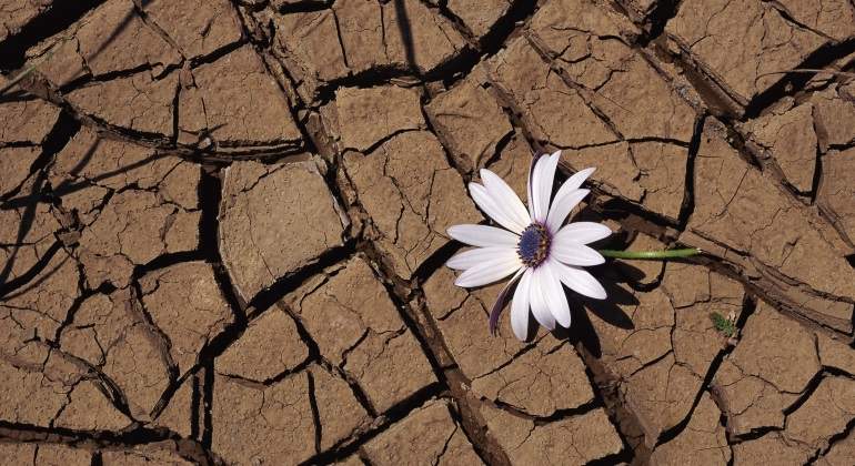 Diez cosas que puedes hacer para frenar el cambio climático