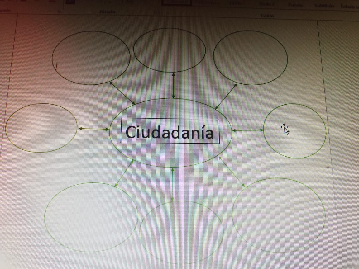 organizador