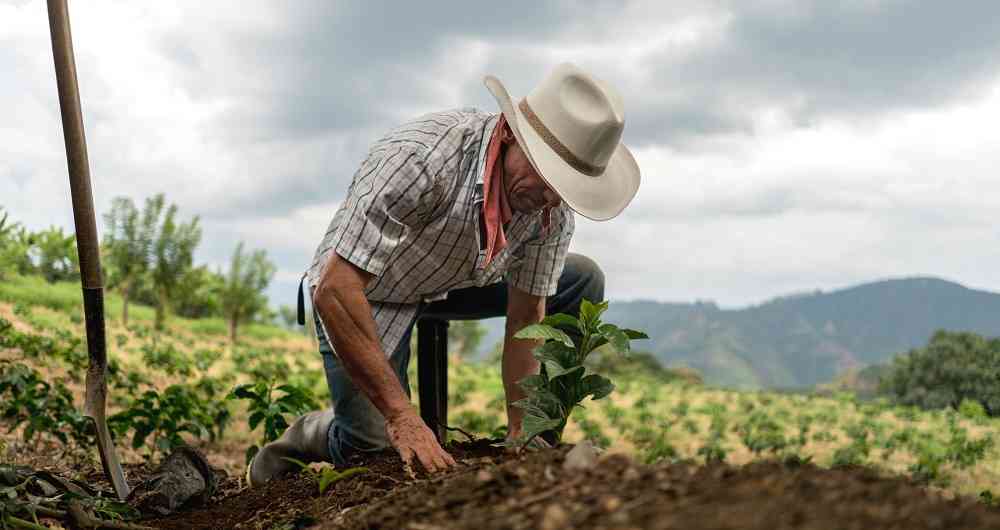 Créditos para el avance en la agricultura- Juliana Zamudio y Alejandra Rojas