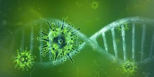 Biologia