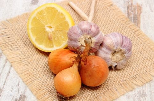 Tres alimentos potentes para fortalecer el sistema Inmunologico.