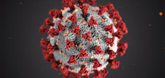 El Coronavirus en Mexico