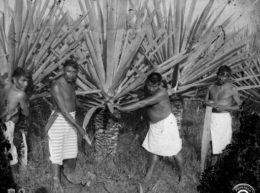 Esclavos de Yucatán