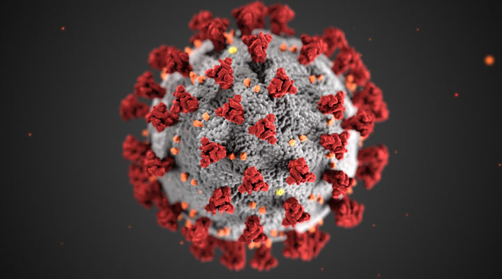 El Gobierno esperará a que la nueva cepa del Coronavirus se extienda por España para cerrar fronteras
