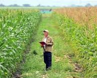LA VOZ DEL AGRO