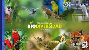 ¿Qué esta pasando con la biodiversidad?