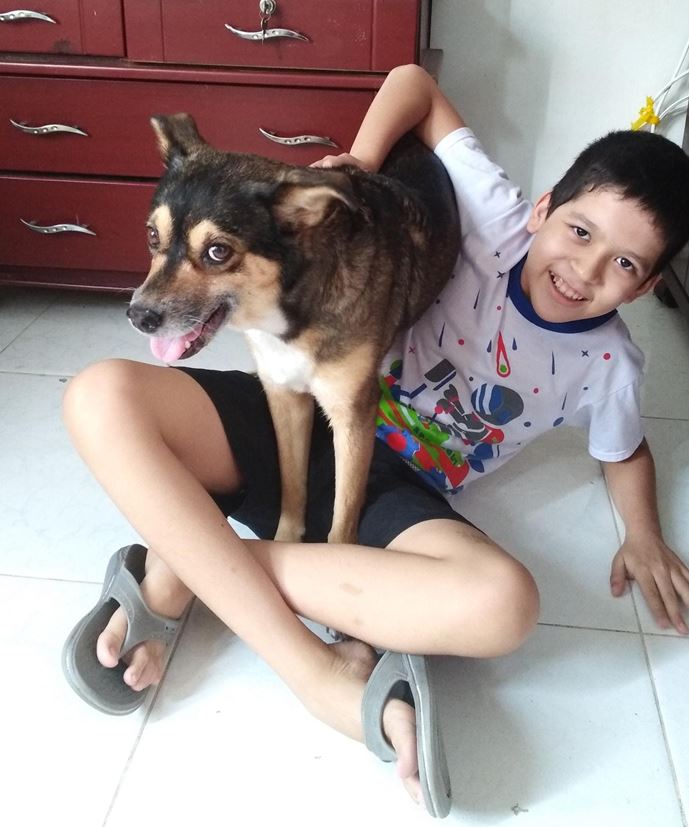 Puntos básicos para el cuidado de tu mascota