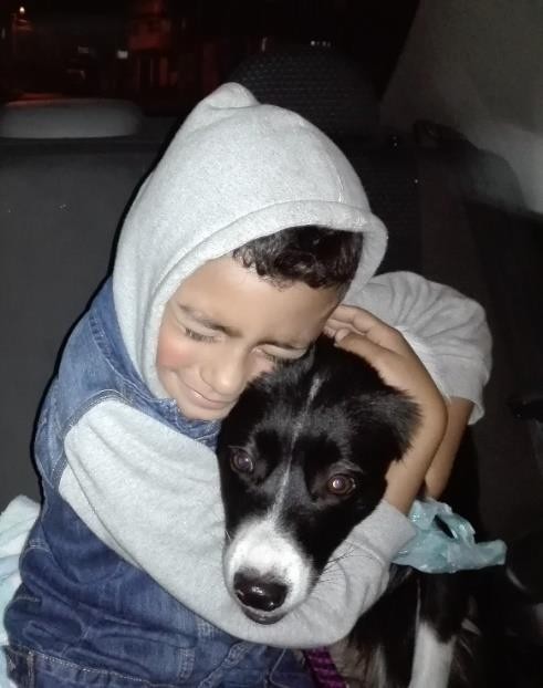 Cómo cuidar correctamente a un perrito