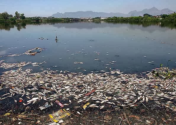 contaminación del agua