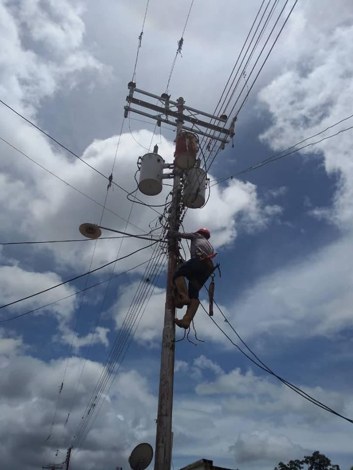LA ALCALDIA BOLIVARIANA DE ZAMORA REALIZA MANTENIMIENTO A RED ELECTRICA