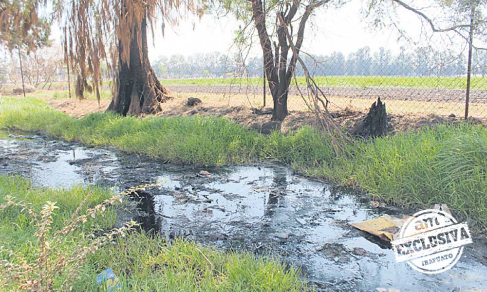 Revisan ríos y arroyos en Irapuato para detectar peligro

