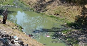 Vivir cerca de un río afecta a largo plazo