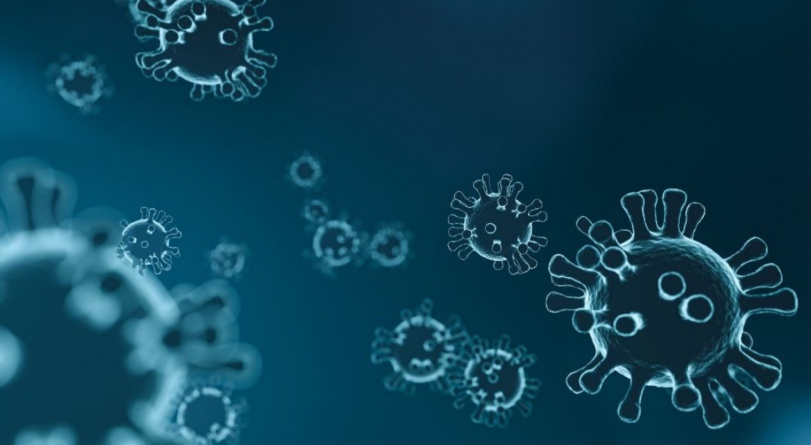 Conozca toda la información relacionada con el CORONAVIRUS - COVID 19 -