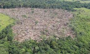 Los derechos humanos en Colombia