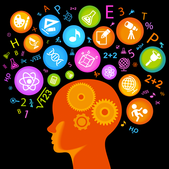 La Neuroeducación