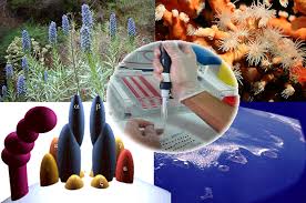Que opina el mundo sobre el cambio de genes