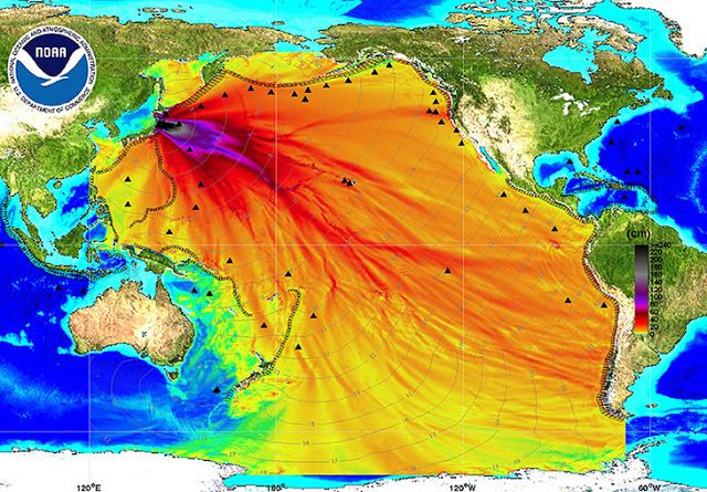 Japón: La radiación de Fukushima ha contaminado todo el Océano Pacífico