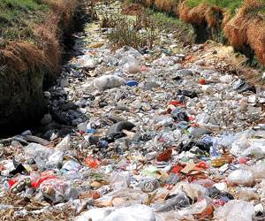 CONTAMINACIÓN AMBIENTAL EN IRAPUATO CON PALIATIVOS – Primer Plano