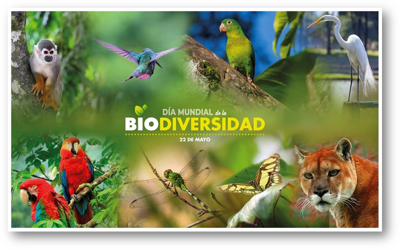 ¿Por qué Colombia es un país biodiverso?