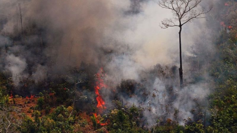Incendios en el Amazonas: las imágenes erróneas sobre los fuegos que se están compartiendo en las redes sociales