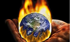Osos polares gastan más energía por calentamiento global