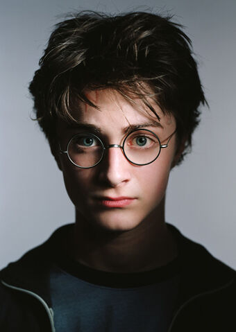 ADIÓS HARRY POTTER