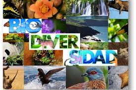 La biodiversidad
