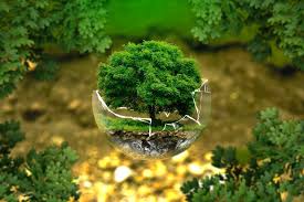 La Ecología y todo lo que tienes que saber