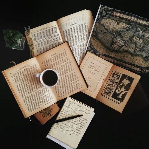 Viajes entre libros