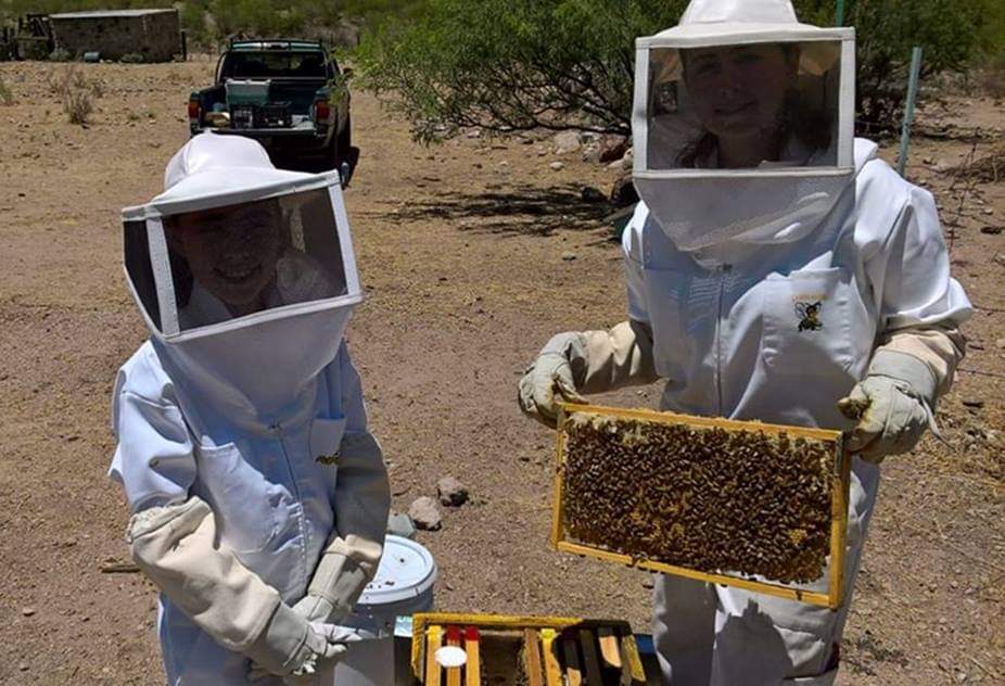 APROVECHAN ENJAMBRE DE ABEJAS LOS ALUMNOS DEL COLEGIO DE CHIHUAHUA PARA PROYECTOS ESCOLARES.