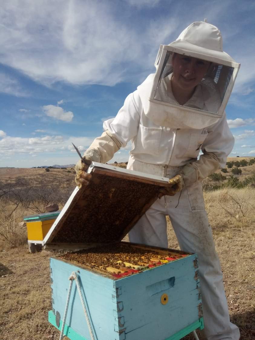 TODOS PODEMOS HACER ALGO POR LAS ABEJAS