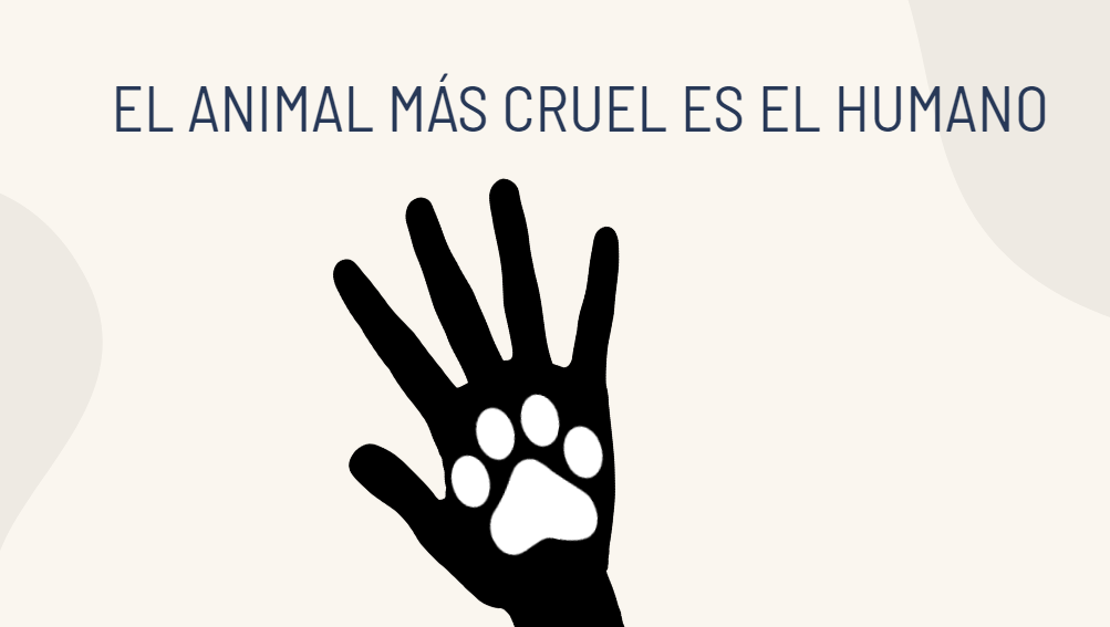 Paws Rescue