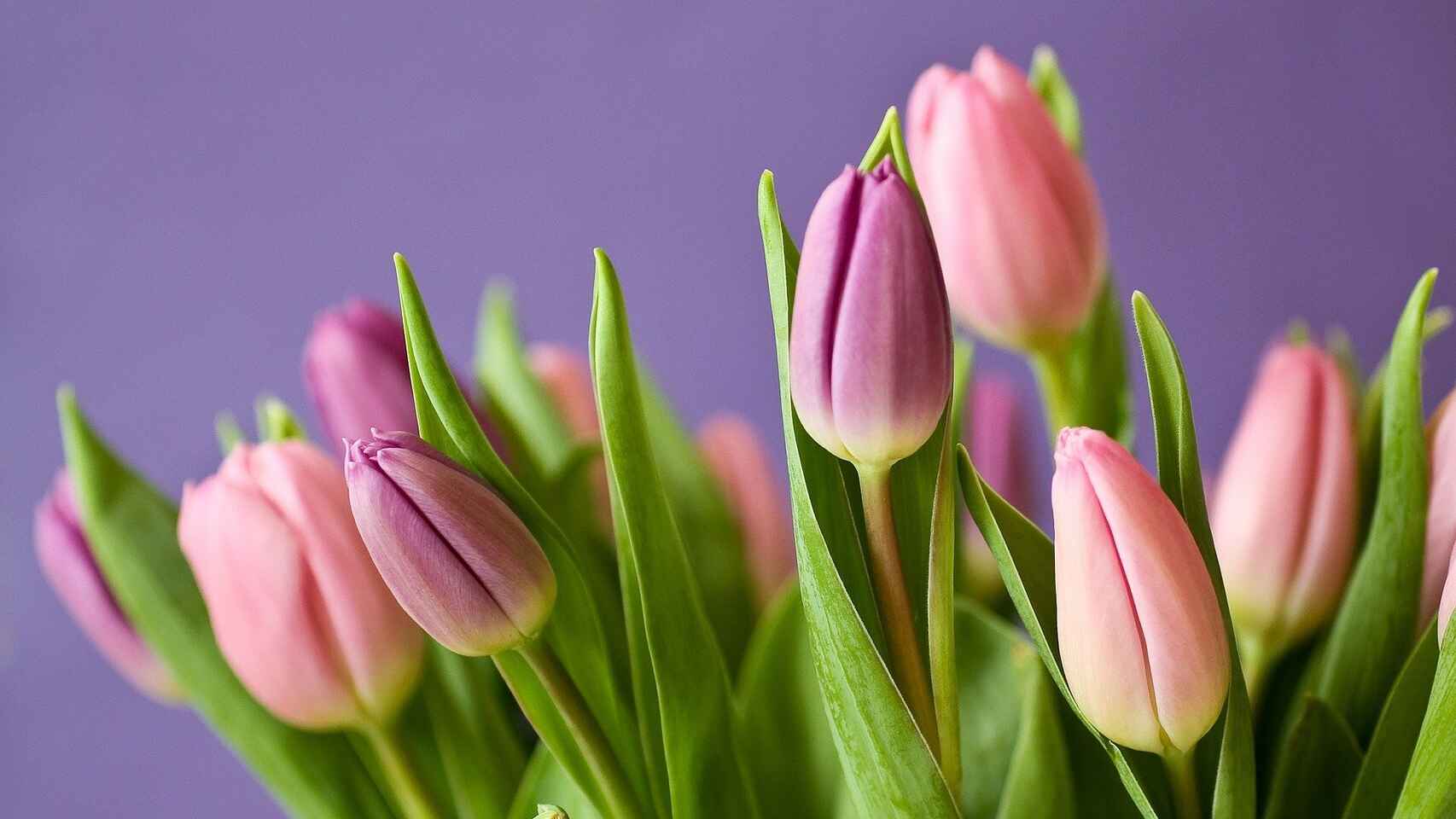 Mi noticia: Vive con mas color