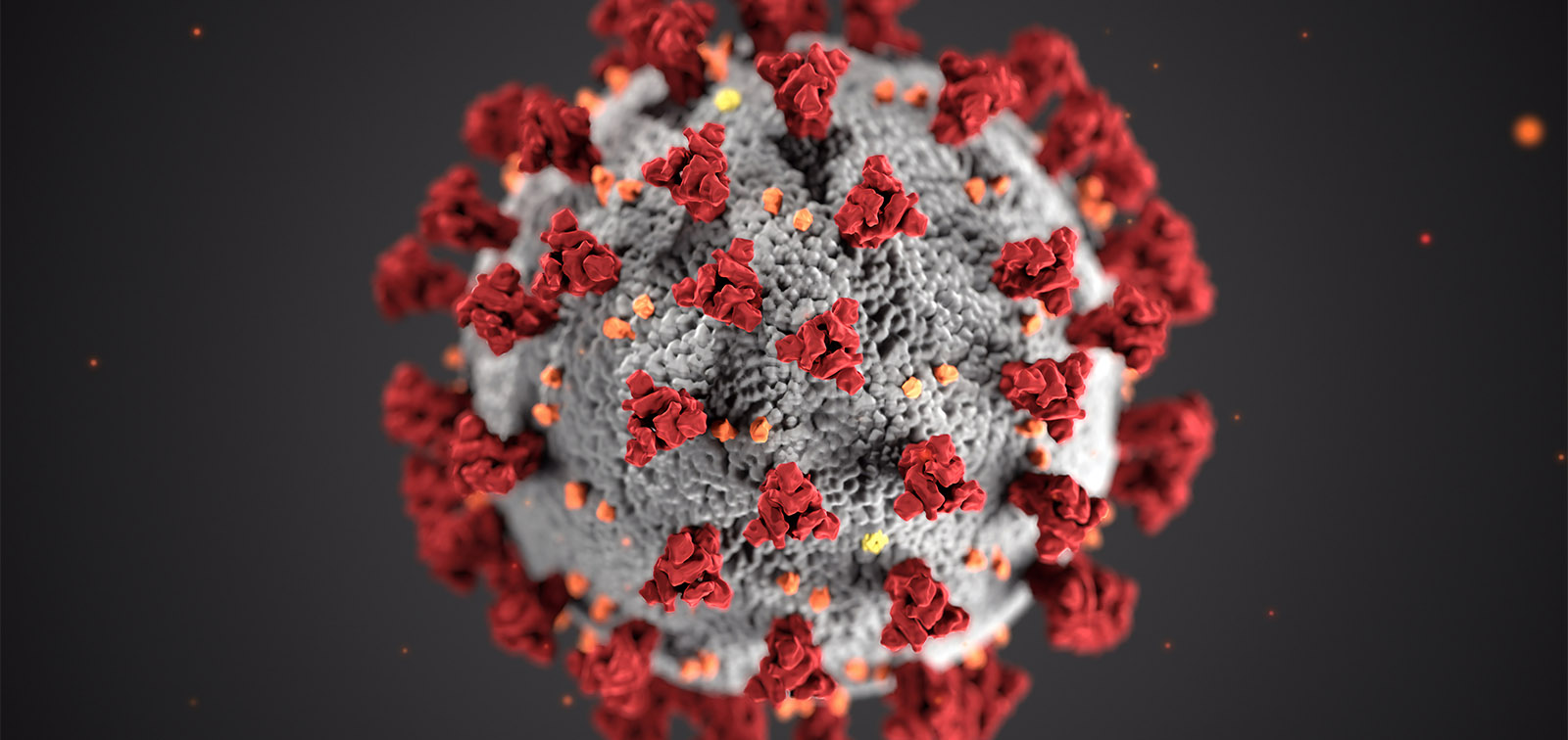 El coronavirus y el cambio climatico.