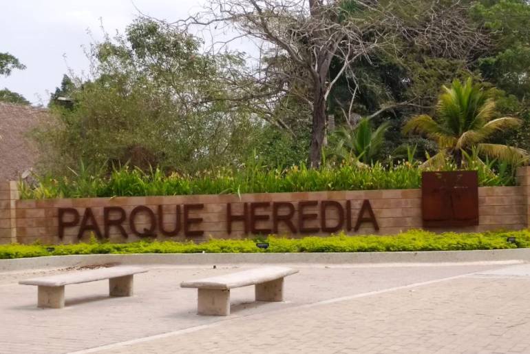 Residentes de Parque Heredia no cuentan con sistema de transporte