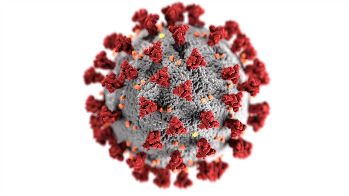 Un año del Coronavirus