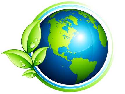 Mi primer taller sobre la ecología