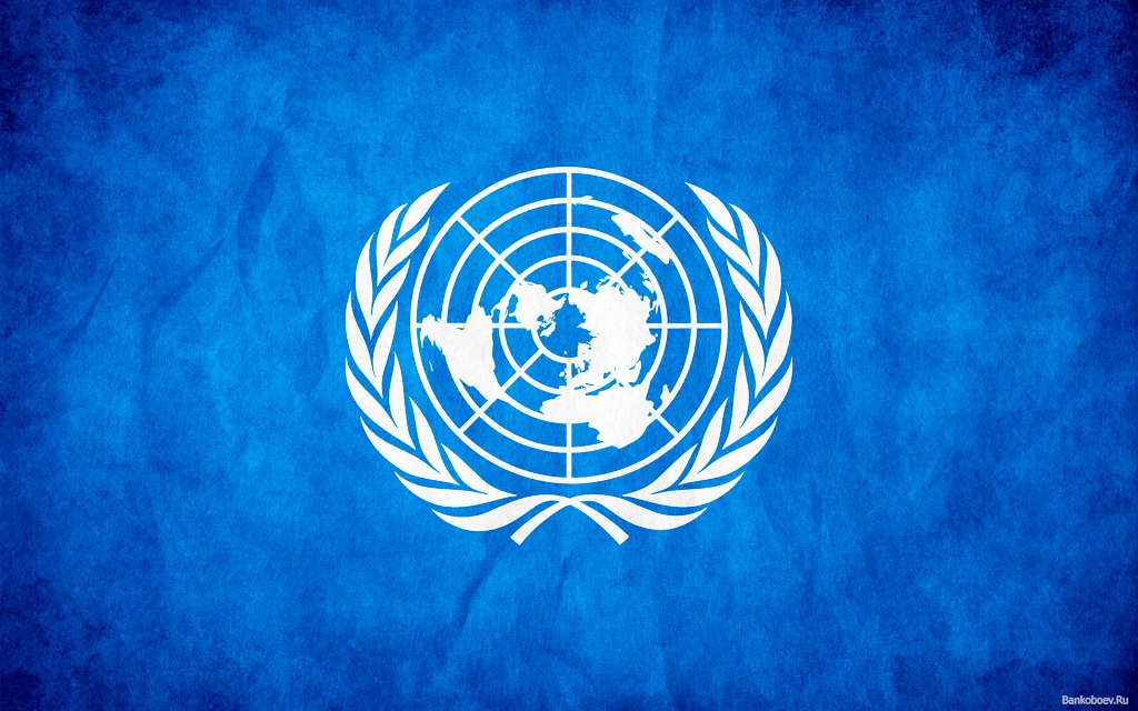 Declaración Universal de Derechos Humanos