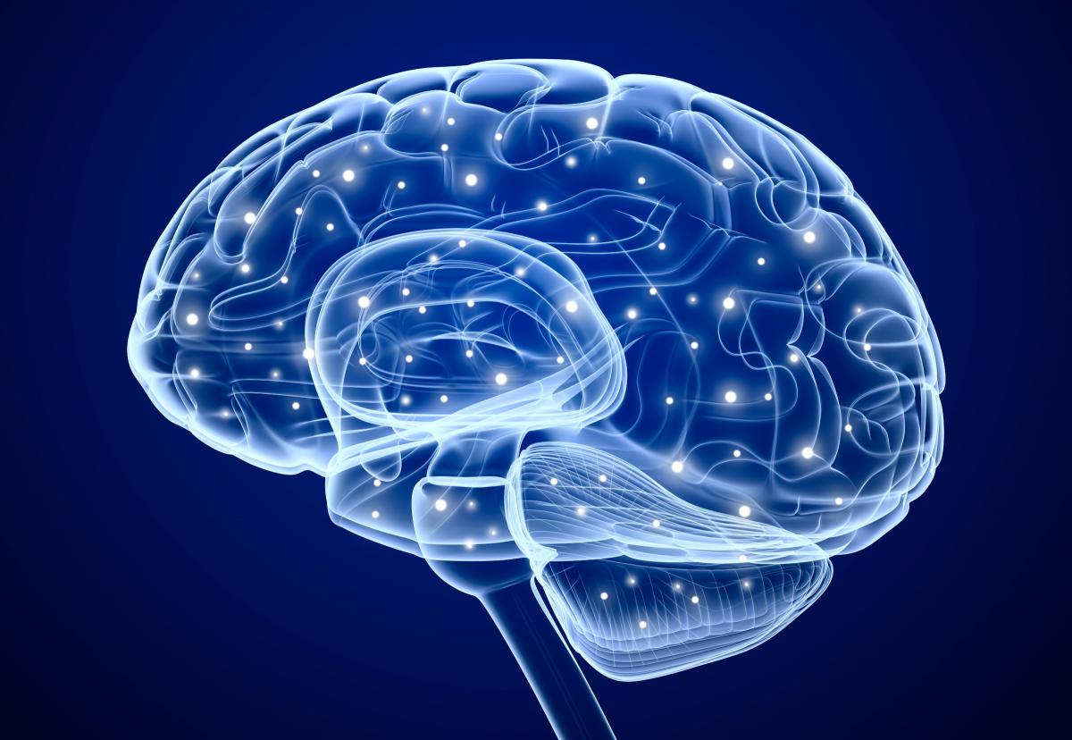 Investigadores Analizan Mecanismo Cerebral de Adicción a las Drogas