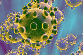 COVID-19 (coronavirus) AH LLEGADO A REFORMA DE PINEDA
