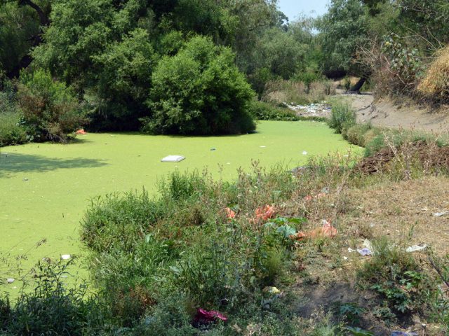 contaminación y peste del rió de silao ( Irapuato )