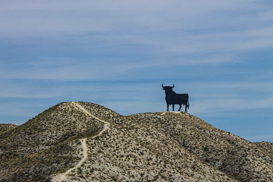 El debate del animalismo y los derechos de los animales