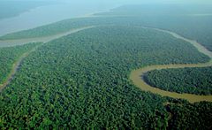 el amazonas y su contaminacion
