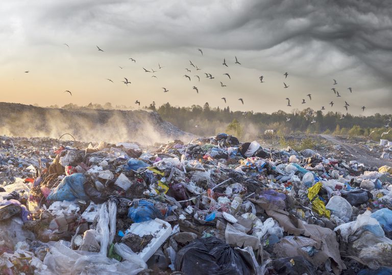 TRES PROBLEMAS AMBIENTALES PREOCUPANTES
