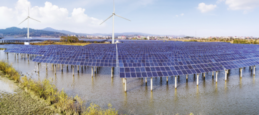 El desarrollo sostenible, una nueva forma para relacionarnos con el medioambiente?