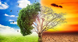 Problemas en el medio Ambiente.