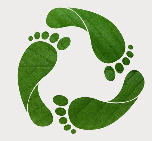 La huella ecológica, ¿Quién fue su creador?