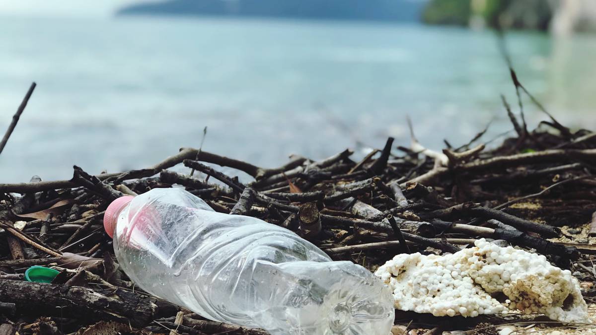 problemas en el medio ambiente